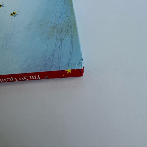 I’m So Glad You Were Born, Celebrating who you are by Ainsley Earhardt hardcover - Picture 14 of 16